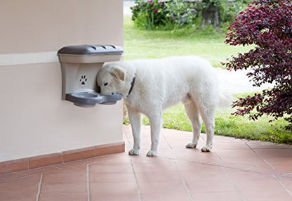 Pet Elevated Food Stand - Medium