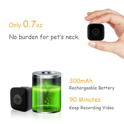 Cat / Dog Collar Camera with Video Record (No WiFi)