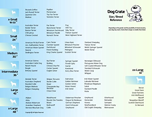 Newly Enhanced Single Door iCrate Dog Crate