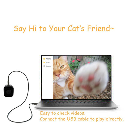 Cat / Dog Collar Camera with Video Record (No WiFi)