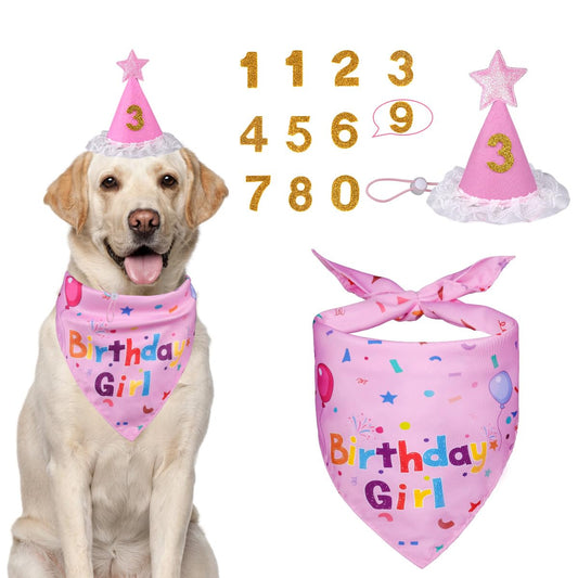 Dog Birthday Decorations (Pink)