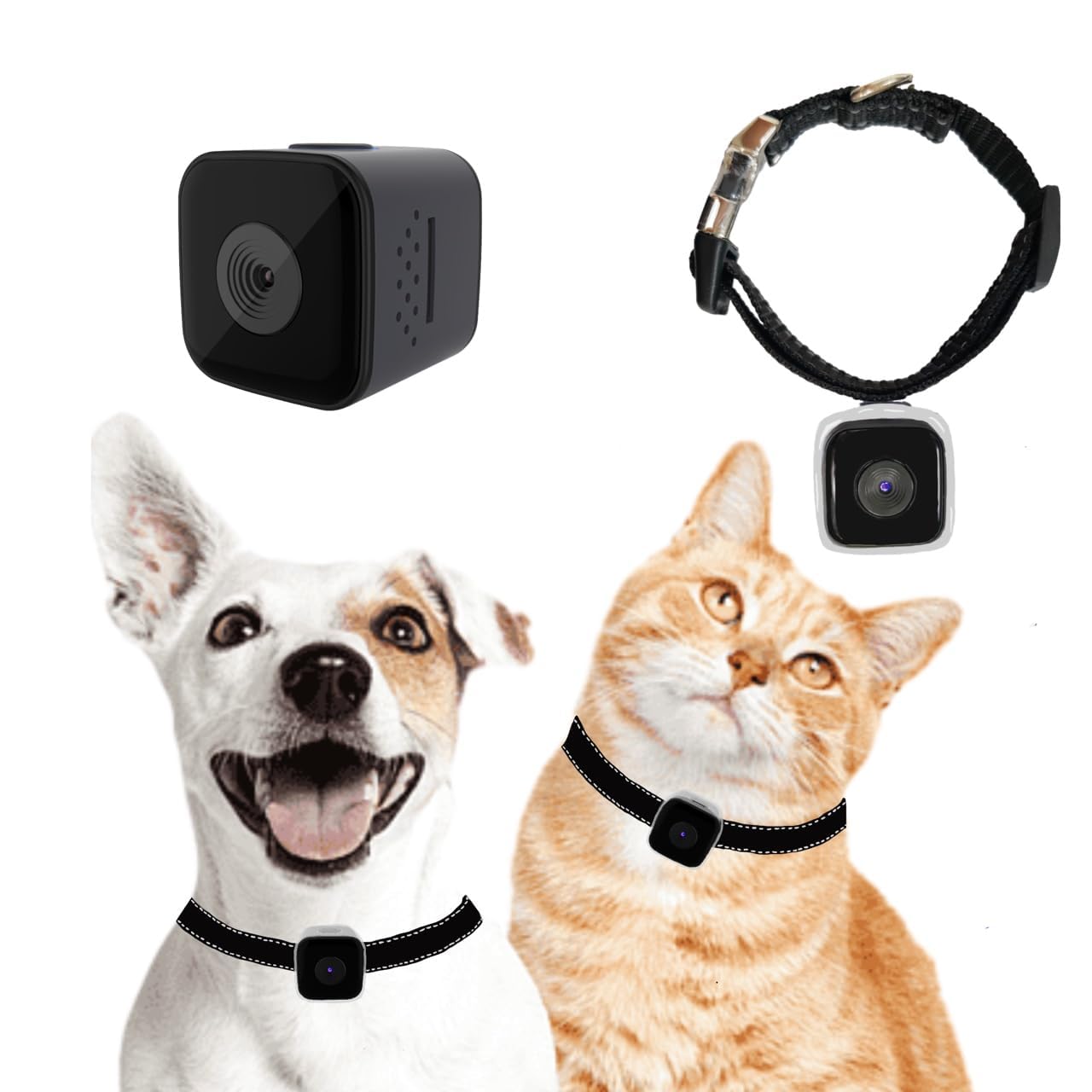 Cat / Dog Collar Camera with Video Record (No WiFi)