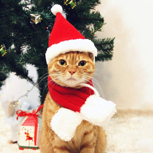 Cat Santa Hat with Scarf, Christmas Hats for Cats Small Dog