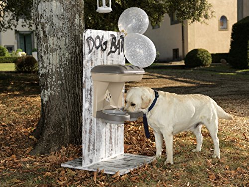 Pet Elevated Food Stand - Medium