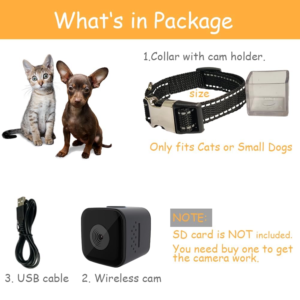 Cat / Dog Collar Camera with Video Record (No WiFi)