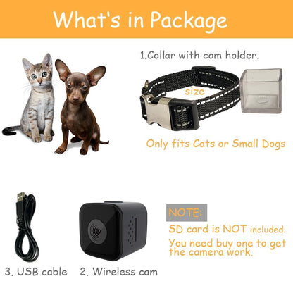 Cat / Dog Collar Camera with Video Record (No WiFi)