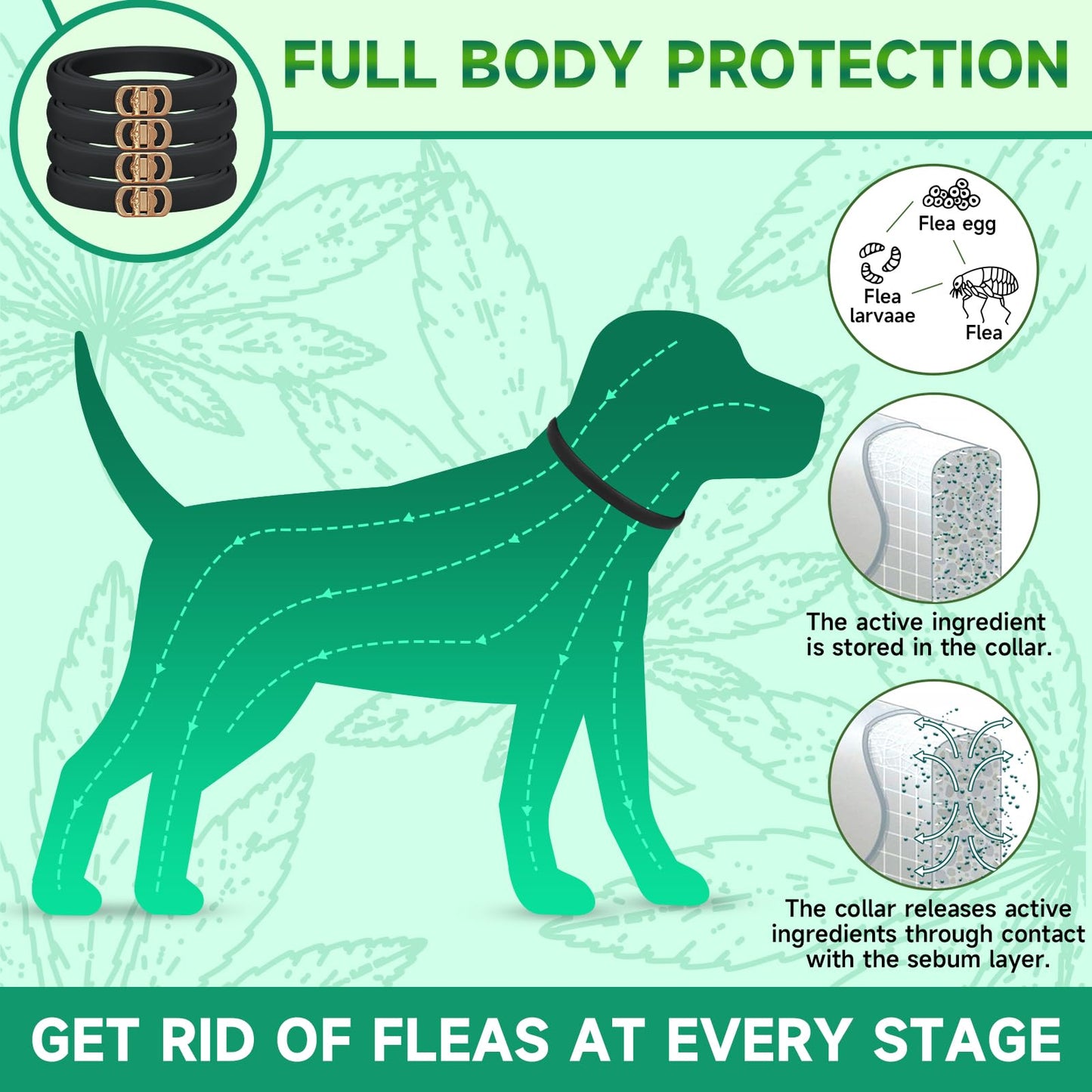 4 Pack Flea Collar for Dogs, 8 Months Protection Flea and Tick Collar for Dogs