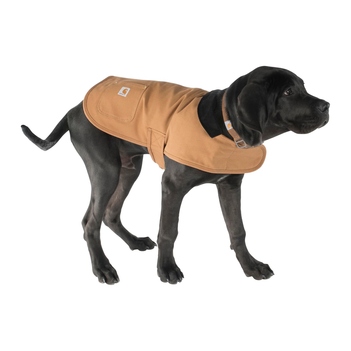 Firm Duck Insulated Dog Chore Coat Brown/Brass