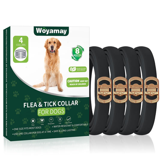 Paquete de 4 collares antipulgas para perros, protección de 8 meses contra pulgas y garrapatas para perros