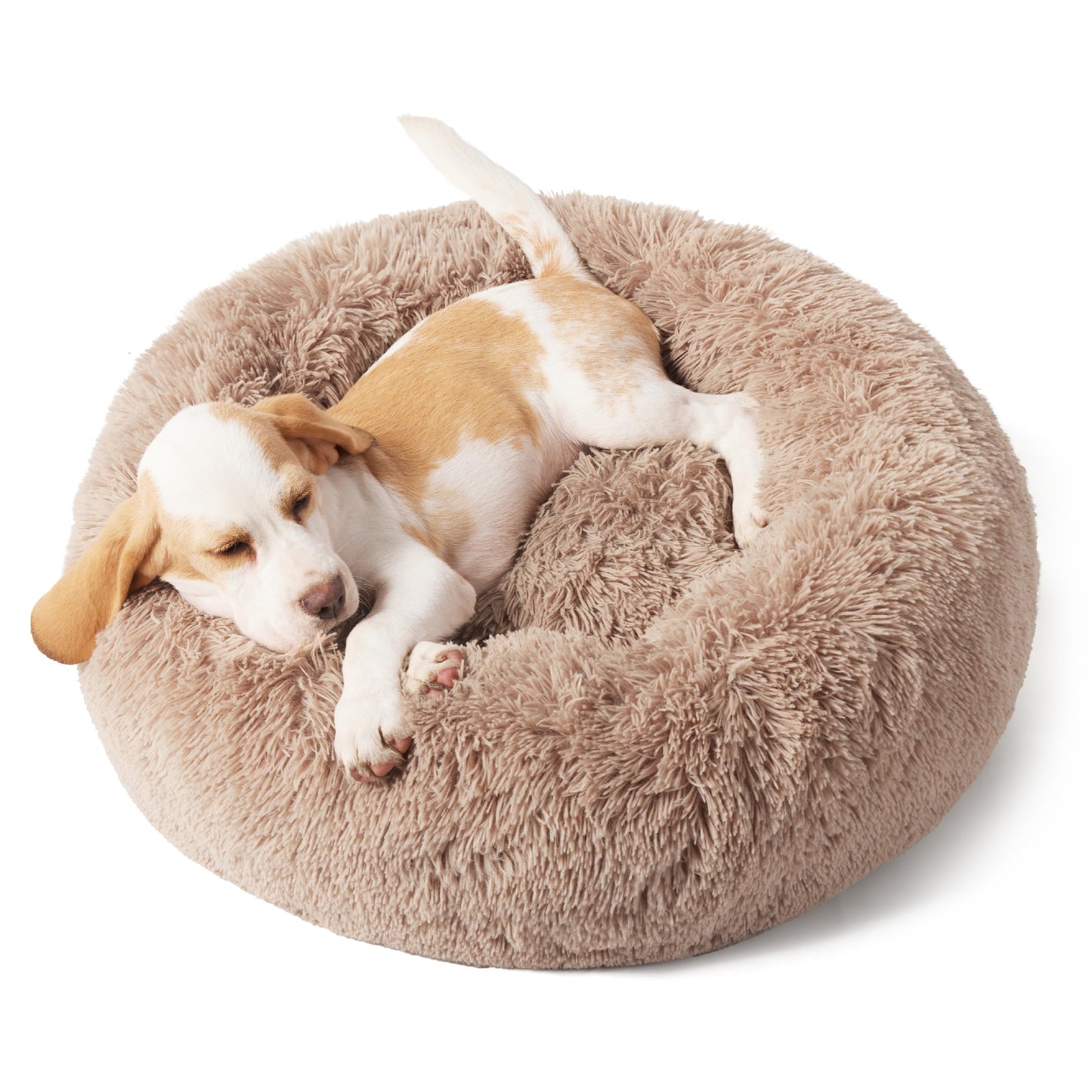 Calming Dog Bed for Small Dogs