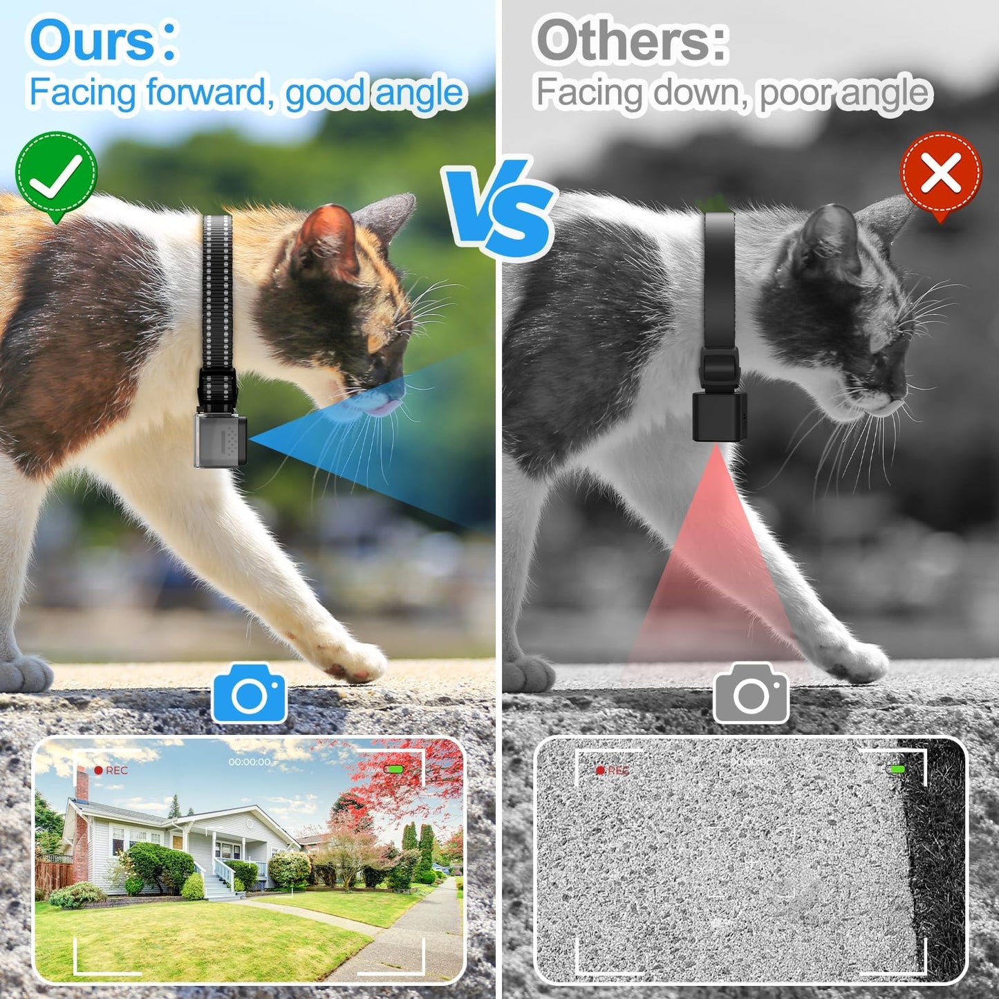 Cat / Dog Collar Camera with Video Record (No WiFi)