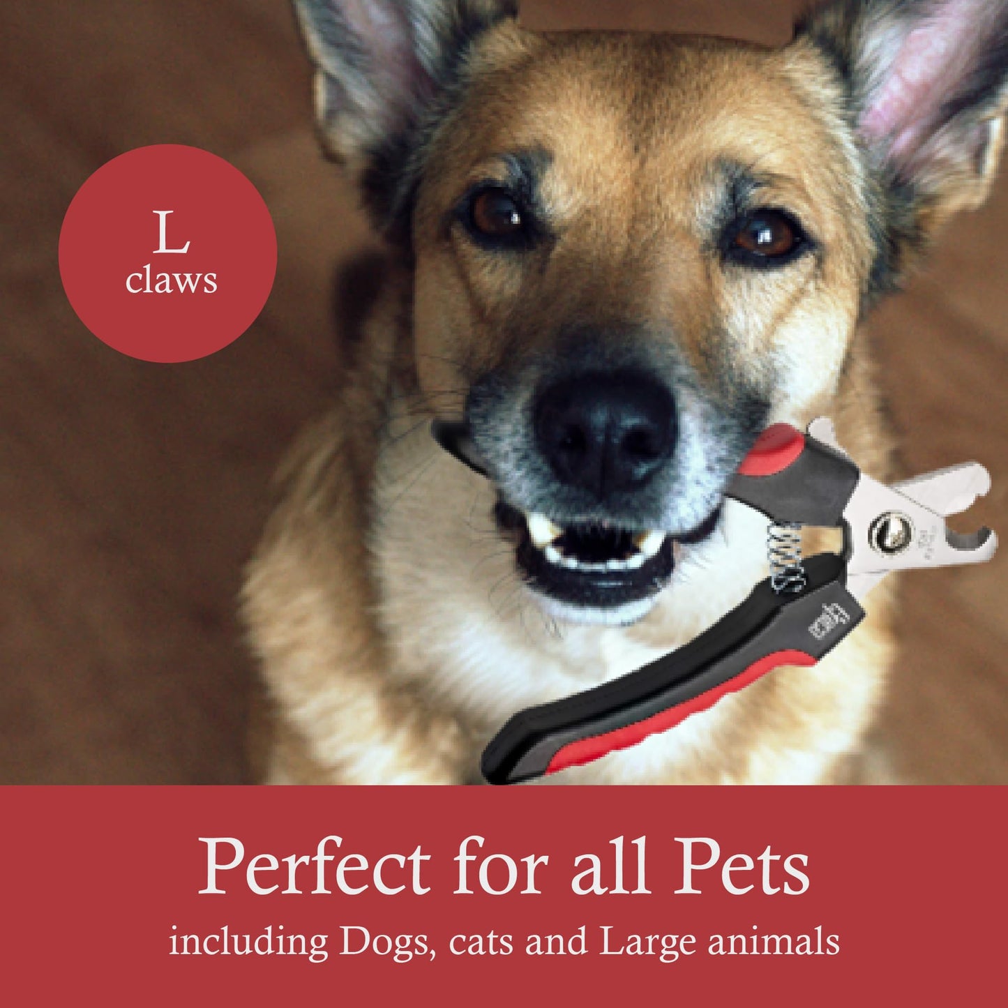 Professional Dog Nail Clipper (Large)