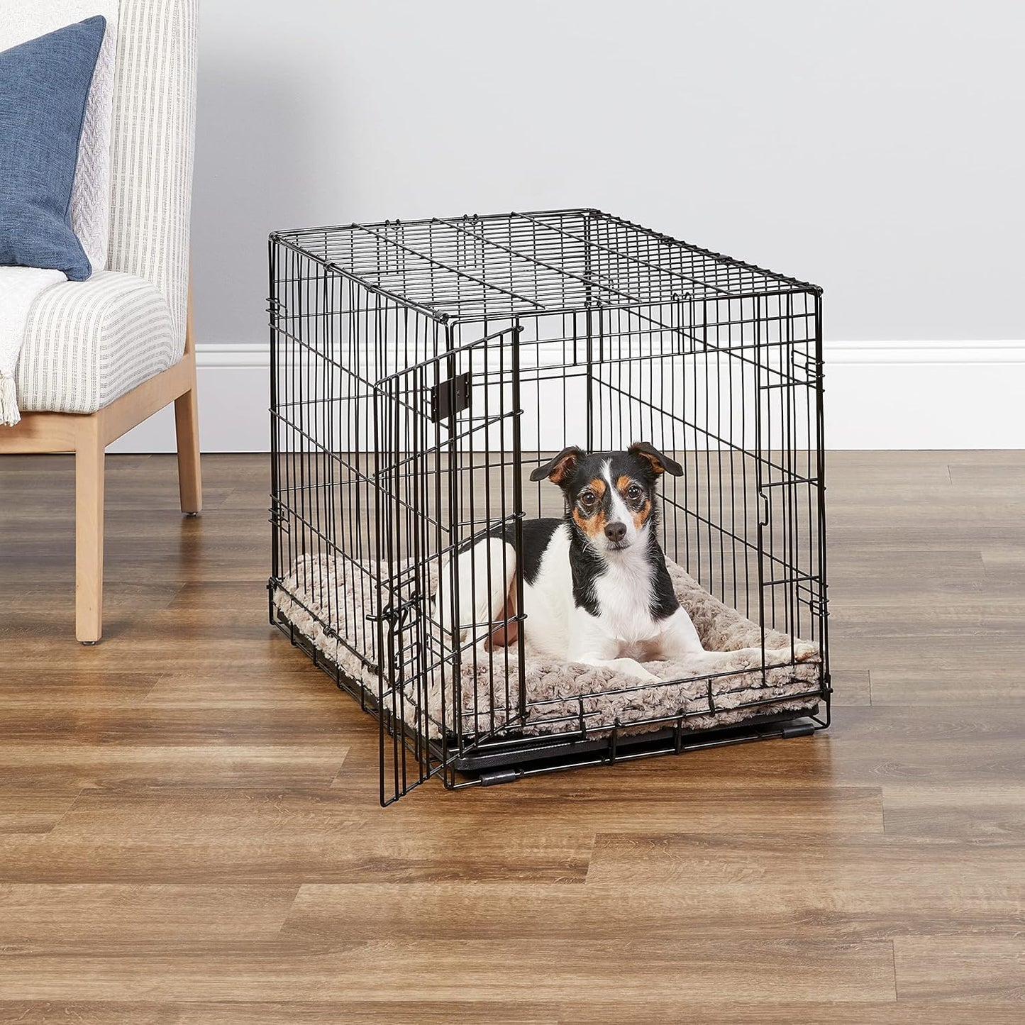 Newly Enhanced Single Door iCrate Dog Crate