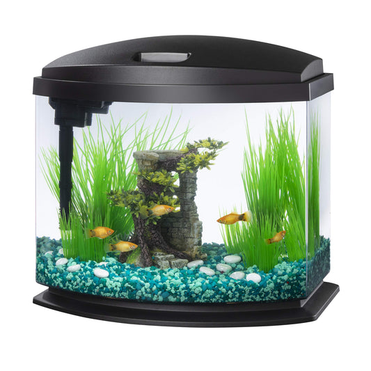 LED MiniBow Small Aquarium Fish Tank Kit with SmartClean Technology, Black, 5 Gallon