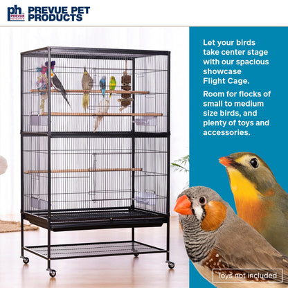 Wrought Iron Flight Cage with Stand F040 Black Bird Cage, 31-Inch by 20-1/2-Inch by 53-Inch